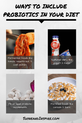 Ways to Include Probiotics in Your Diet from Are Probiotic Supplements Necessary via Shyne and Inspire